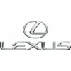 LEXUS (9)