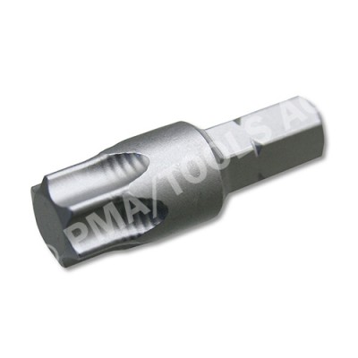 Torx® Bit insert TX 55