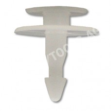 HONDA Accord Cpé., 98-02, WS-Clip, white